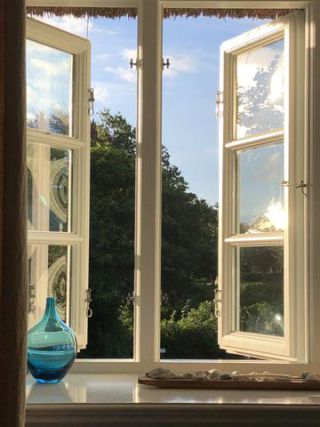 Link to Photo | photograph, amateur photography