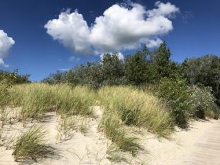 Link to Photo | photograph, amateur photography