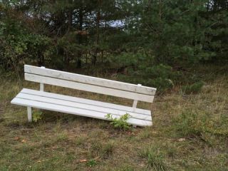 Link to Photo | photograph, amateur photography