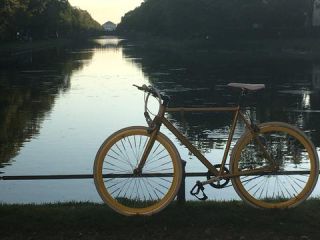 Link to Photo | photograph, amateur photography