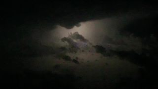 Link to Video | flight, color, amateur film, aerial shot, 2024