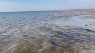 Link to Video | September, Handyvideo, sea, North Sea, Germany, color, Wadden Sea, water, liquid water, ebb, Föhr, amateur film, 2024