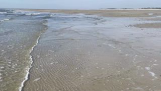 Link to Video | September, Handyvideo, sea, North Sea, Germany, color, Wadden Sea, water, liquid water, ebb, Föhr, amateur film, 2024