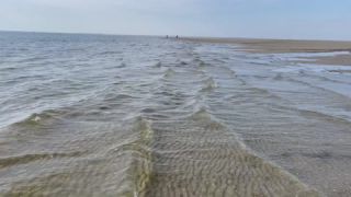 Link to Video | September, Handyvideo, sea, North Sea, Germany, color, Wadden Sea, water, liquid water, ebb, Föhr, amateur film, 2024