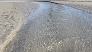 Link to Video | September, Handyvideo, sea, North Sea, Germany, color, Wadden Sea, water, liquid water, ebb, Föhr, amateur film, 2024