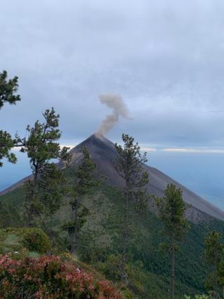 Link to Photo