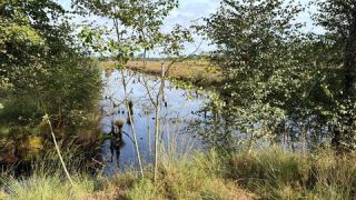 Link zum Foto
