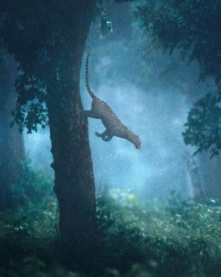 Link to Photo | mammal, photograph, creature, wild animal, color, wildlife, Carnivora, animal behaviour, leopard, Asia, big cat, organism, animal, nature, Carnivora, wilderness