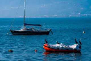 Link zum Foto | 2021, Kormoran, Vogel, Boot, Gardasee, Oberitalien