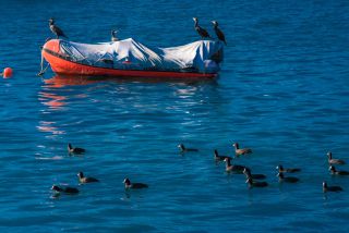 Link zum Foto | Tourismusziel, Farbe, Italien, Oberitalien, Gardasee