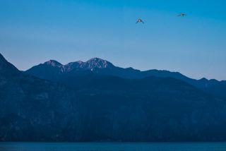 Link zum Foto | 2021, Gardasee, Oberitalien