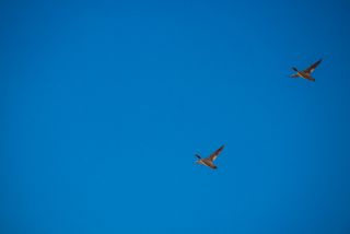 Link zum Foto | 2021, Gardasee, Oberitalien