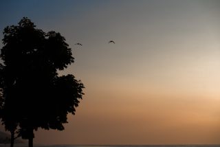 Link zum Foto | 2021, Gardasee, Oberitalien