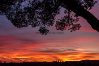 Link to Photo | tourist destination, Tuscany, summer, leisure, color, Italy, paid time off