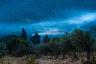 Link to Photo | tourist destination, Tuscany, summer, color, Italy