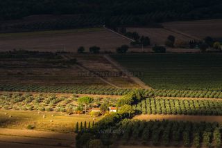 Link to Photo | tourist destination, Tuscany, summer, color, Italy