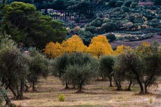 Link to Photo | tourist destination, Tuscany, summer, leisure, color, Italy, paid time off