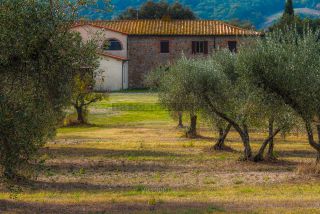 Link to Photo | tourist destination, Tuscany, summer, leisure, color, Italy, paid time off