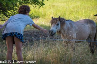 Link to Photo | summer, leisure, paid time off