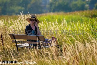 Link to Photo | summer, leisure, paid time off