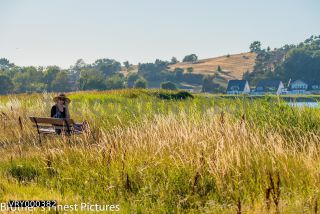 Link to Photo | summer, leisure, paid time off