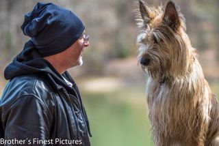 Link to Photo | cub, photograph, dog, Buxheimer Weiher, Germany, Rassehund, April 10, Picardy Shepherd, shepherd dog, herding dog, dog breed, 2023, Buxheim, animal, Yumi