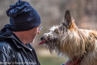 Link to Photo | cub, photograph, dog, Buxheimer Weiher, Germany, Rassehund, April 10, Picardy Shepherd, shepherd dog, herding dog, dog breed, 2023, Buxheim, animal, Yumi
