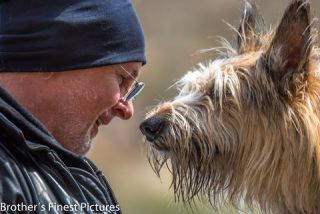 Link to Photo | cub, photograph, dog, Buxheimer Weiher, Germany, Rassehund, April 10, Picardy Shepherd, shepherd dog, herding dog, dog breed, 2023, Buxheim, animal, Yumi