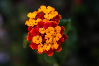 Link to Photo | Malta, color, 2023