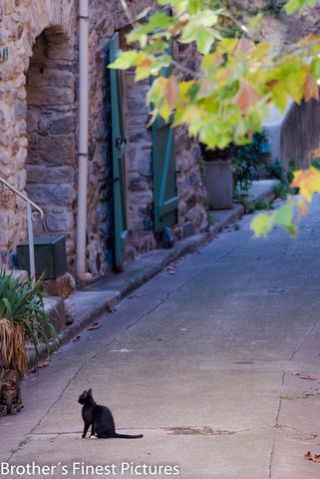 Link to Photo | tourist destination, France, Languedoc, color, day, Mediterranean Basin