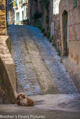 Link to Photo | tourist destination, France, Languedoc, color, day, Mediterranean Basin