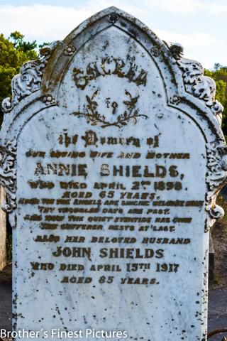 Link to Photo | photography, photograph, color, Australia, 2024