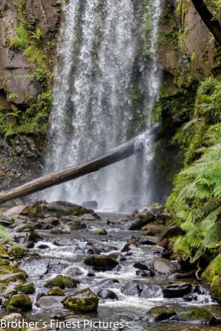 Link to Photo | landscape, photography, photograph, color, Victoria, Australia, 2024, nature