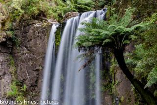 Link to Photo | landscape, photography, photograph, color, Victoria, Australia, 2024, nature