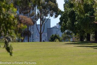 Link to Photo | photography, photograph, big city, color, Melbourne, Victoria, Australia, 2024, city