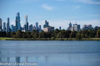 Link to Photo | photography, photograph, big city, color, Melbourne, Victoria, Australia, 2024, city