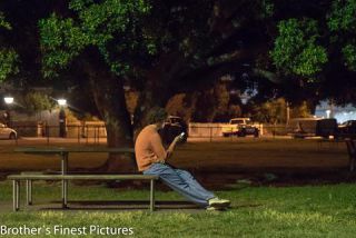 Link to Photo | photography, photograph, color, Australia, 2024