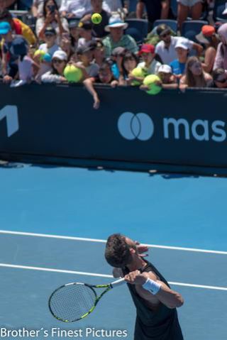 Link to Photo | January, photography, photograph, professional sport, color, January 15, professional athlete, sports training, Melbourne, Australia, 2024, Australian Open, tennis, Carlos Alcaraz