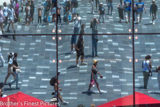 Link to Photo | photography, photograph, color, Australia, 2024