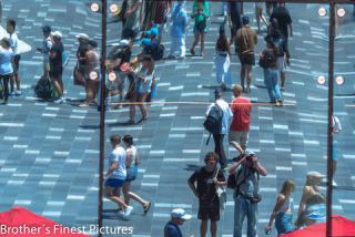 Link to Photo | photography, photograph, color, Australia, 2024