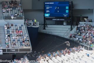 Link to Photo | photography, photograph, color, Melbourne, Australia, 2024, Australian Open, tennis