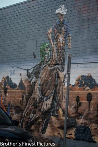 Link to Photo | photography, photograph, color, Australia, 2024