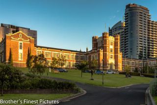 Link to Photo | photography, photograph, color, Australia, 2024