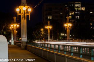 Link to Photo | photography, photograph, color, Australia, 2024