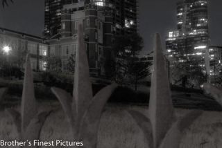 Link to Photo | photography, photograph, color, Australia, 2024