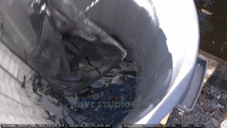 Link to Video | aquaculture, trout
