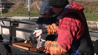 Link to Video | aquaculture, trout