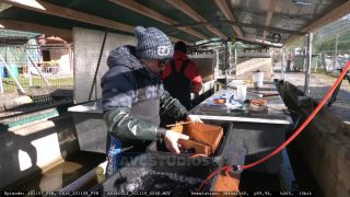 Link to Video | aquaculture, trout
