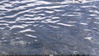 Link to Video | aquaculture, trout