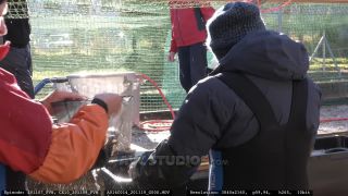 Link to Video | aquaculture, trout